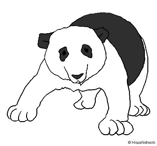 Desenho Urso panda pintado por JOANA