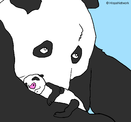 Desenho Urso panda com a sua cria pintado por Marlon