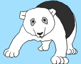 Desenho Urso panda pintado por mailly