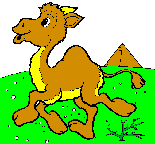 Desenho Camelo pintado por felipe nunes
