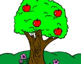 Desenho Macieira  pintado por cassiane ferreira 