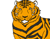 Desenho Tigre pintado por leao