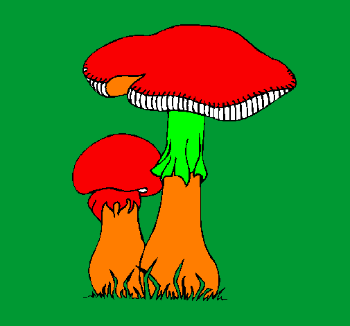 Desenho Cogumelos pintado por lucas