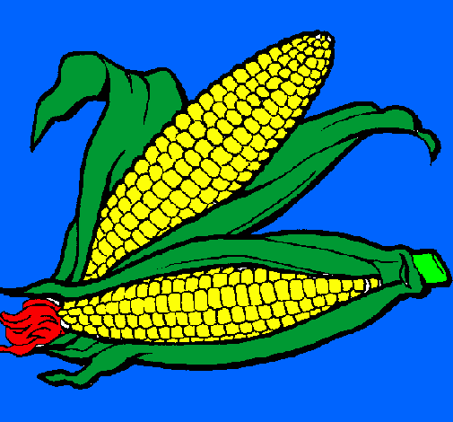 Desenho Espiga de milho  pintado por janaynna