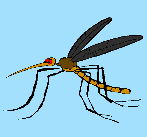 Desenho Mosquito pintado por joão jorge