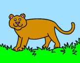 Desenho Panthera  pintado por g.l.v