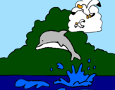 Desenho Golfinho e gaviota pintado por steffane