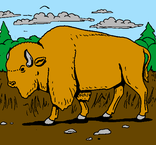 Desenho Búfalo pintado por wallace