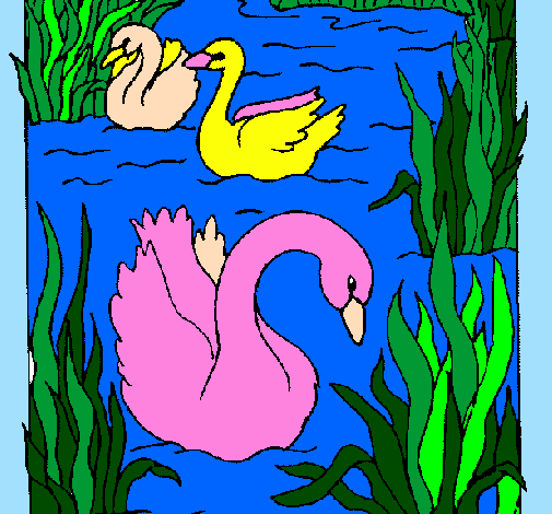 Desenho Cisnes pintado por sônia