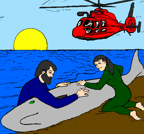 Desenho Resgate baleia pintado por simone