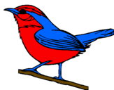 Desenho Pássaro silvestre pintado por Filipe