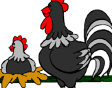Desenho Galo e galinha pintado por Edineia V.M