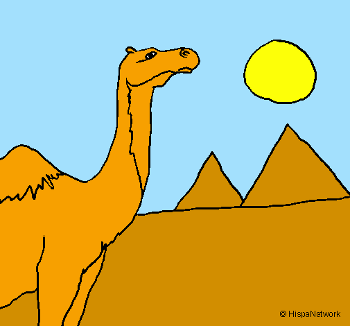 Desenho Camelo pintado por nubya camylle