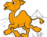 Desenho Camelo pintado por elis