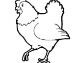 Desenho Galinha pintado por galinha marrom