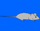 Desenho Rata pintado por felipe gabriel