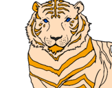 Desenho Tigre pintado por os feras na arte