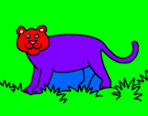 Desenho Panthera  pintado por Mila