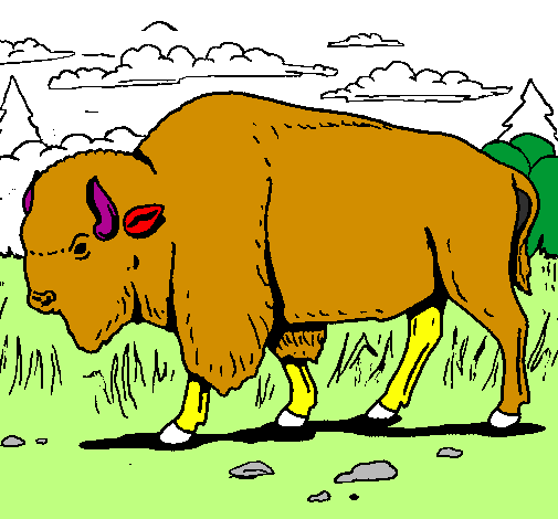 Desenho Búfalo pintado por .......mateus