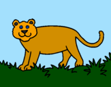 Desenho Panthera  pintado por beatriz