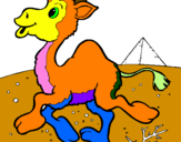 Desenho Camelo pintado por fabricio