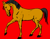 Desenho Cavalo com a pata levantada pintado por Alex