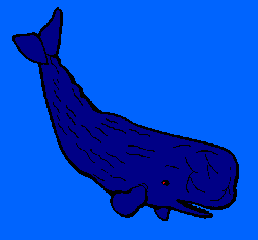 Desenho Baleia grande pintado por Baleia azul