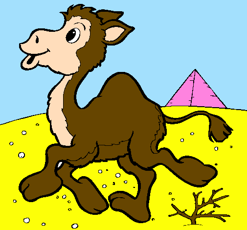 Desenho Camelo pintado por ari
