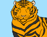 Desenho Tigre pintado por lucas henrique
