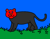 Desenho Panthera  pintado por Rafael