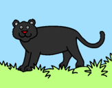 Desenho Panthera  pintado por jose