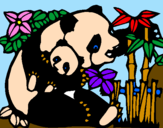 Desenho Mamã panda pintado por joel