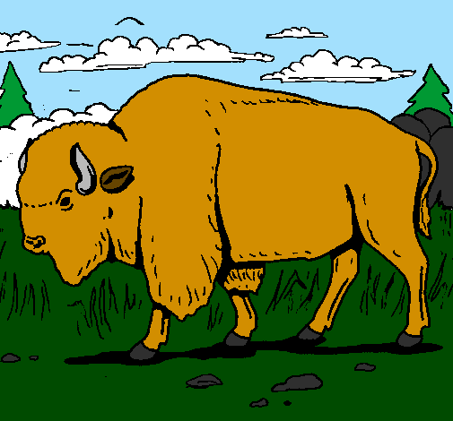 Desenho Búfalo pintado por Bufalo