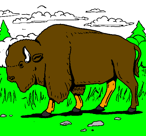 Desenho Búfalo pintado por Luciano