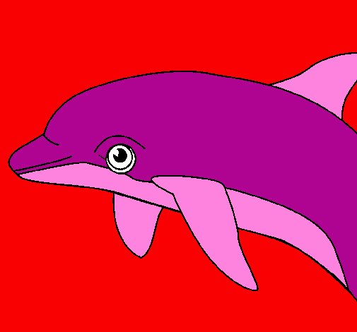 Desenho Golfinho pintado por monik