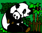 Desenho Mamã panda pintado por jade