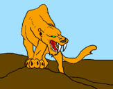 Desenho Tigre com dentes afiados pintado por Thales Henrique