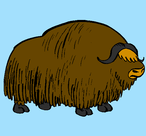 Desenho Bisonte  pintado por joão jorge