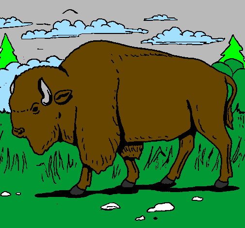 Desenho Búfalo pintado por bibi