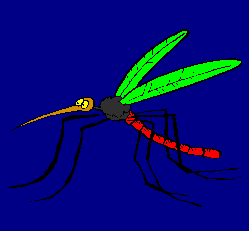 Desenho Mosquito pintado por breno ficz deodoro