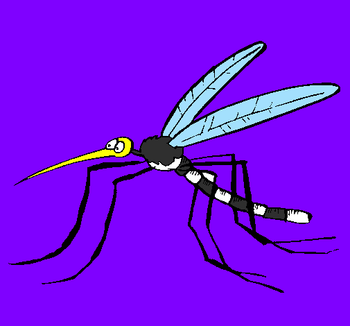 Desenho Mosquito pintado por alice duduarda 28