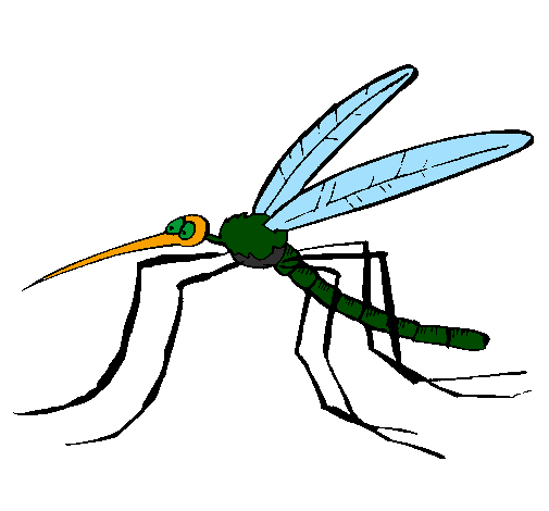 Desenho Mosquito pintado por ana