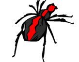 Desenho Aranha viúva negra pintado por tallys