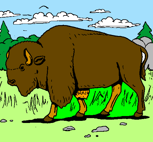 Desenho Búfalo pintado por kaio