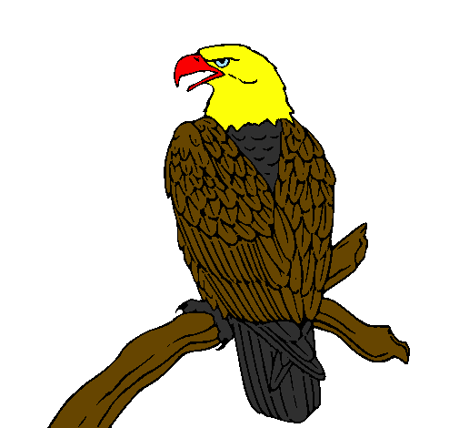 Desenho Águia num ramo pintado por marrony