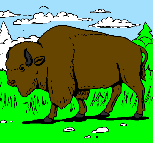 Desenho Búfalo pintado por cavalo                   