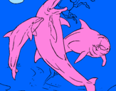 Desenho Golfinhos a brincar pintado por renan