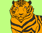 Desenho Tigre pintado por  Marcos Vinicicios Alves