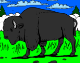 Desenho Búfalo pintado por Otavio