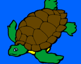Desenho Tartaruga pintado por guilherme